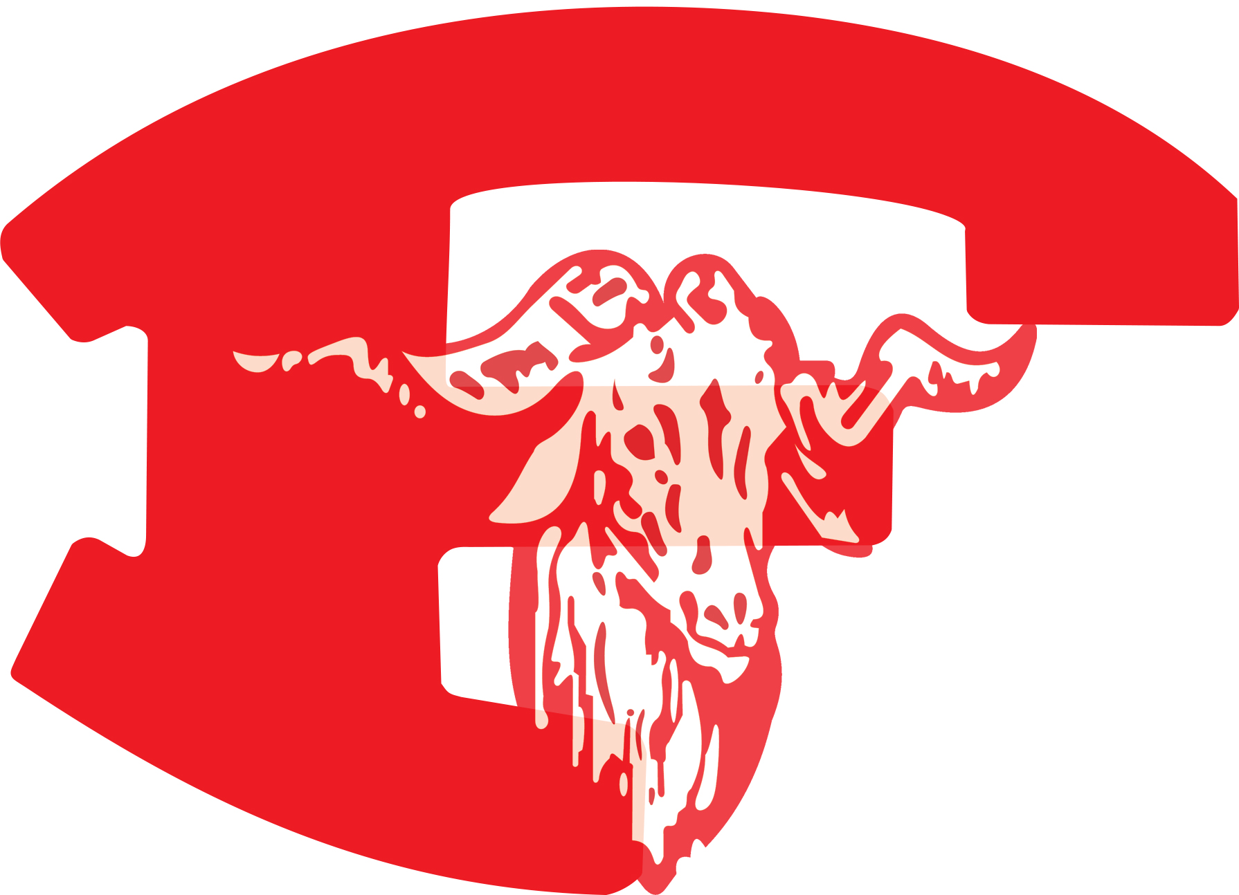 System Logo